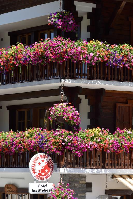 Hotel Les Mélèzes Haudères