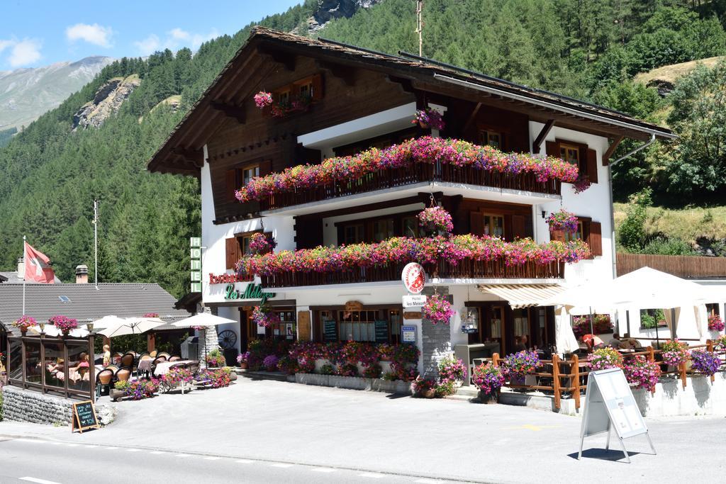 Les Mélèzes Hotel 3*